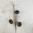 36" BIRD NEST SPRAY X3
