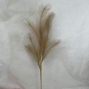 31" FEATHER PINE SPRAY BROWN/GOLD