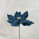 13" POINSETTIA PICK BLUE (9"dia)