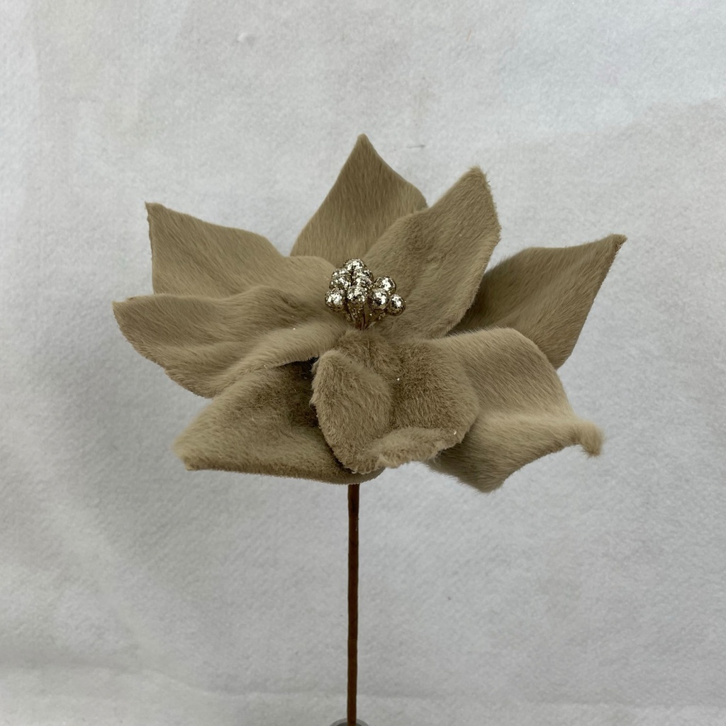 13" POINSETTIA PICK TAN (9"dia)