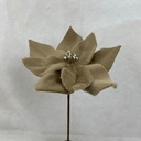 13" POINSETTIA PICK TAN (9"dia)