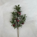 21" FROSTED MISTLETOE LEAF SPRAY W/ BERRIES
