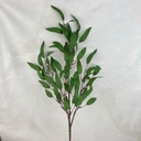 35" LONG LEAF EUCALYPTUS SPRAY GREEN