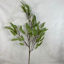 35" LONG LEAF EUCALYPTUS SPRAY LT. GREEN