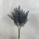 12" BERRY BUSH X5 DUSTY BLUE