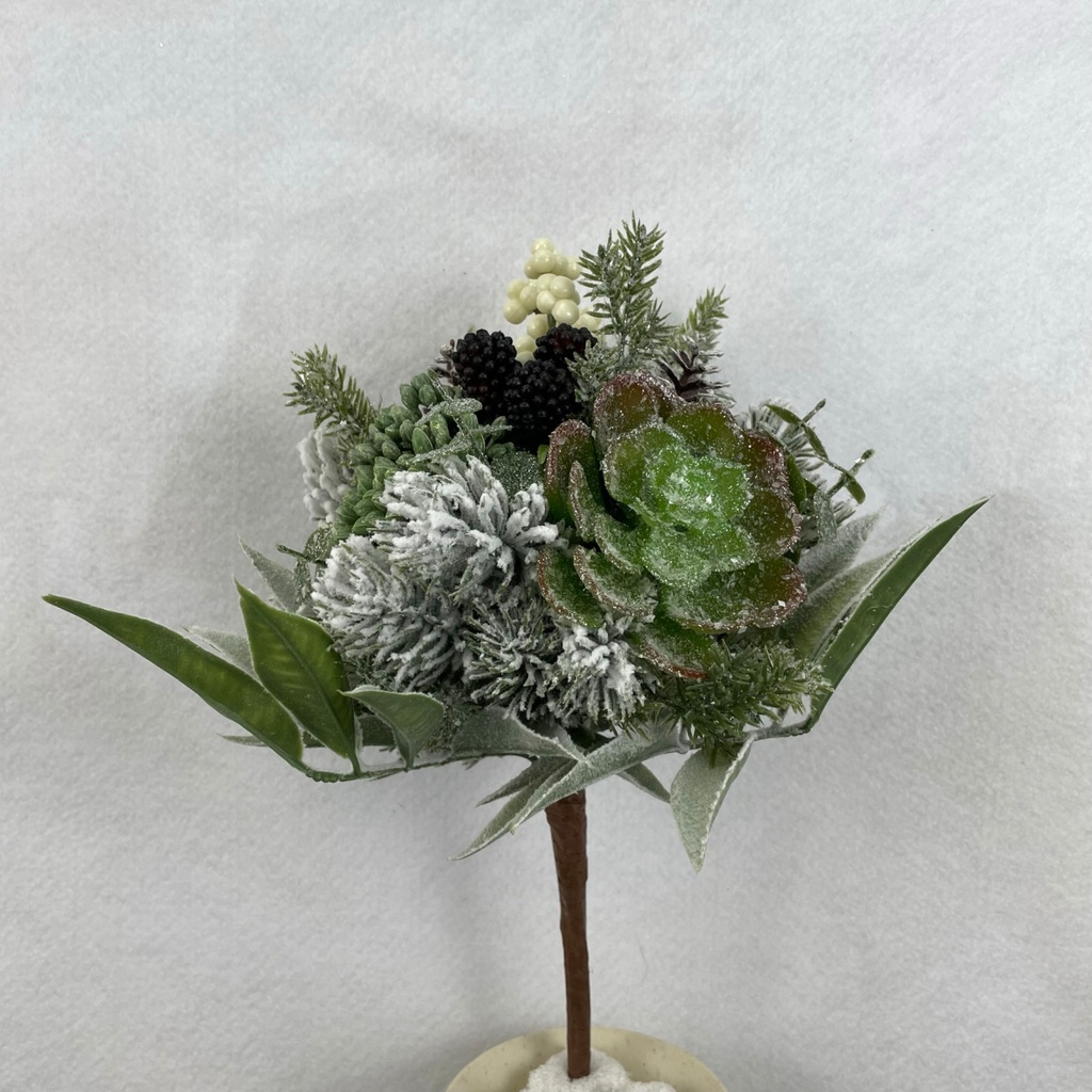 12" SNOWY PINE AND SUCCULENT BUNDLE