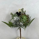 12" SNOWY PINE AND SUCCULENT BUNDLE