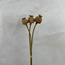 22" POPPY BUD BUNDLE X4