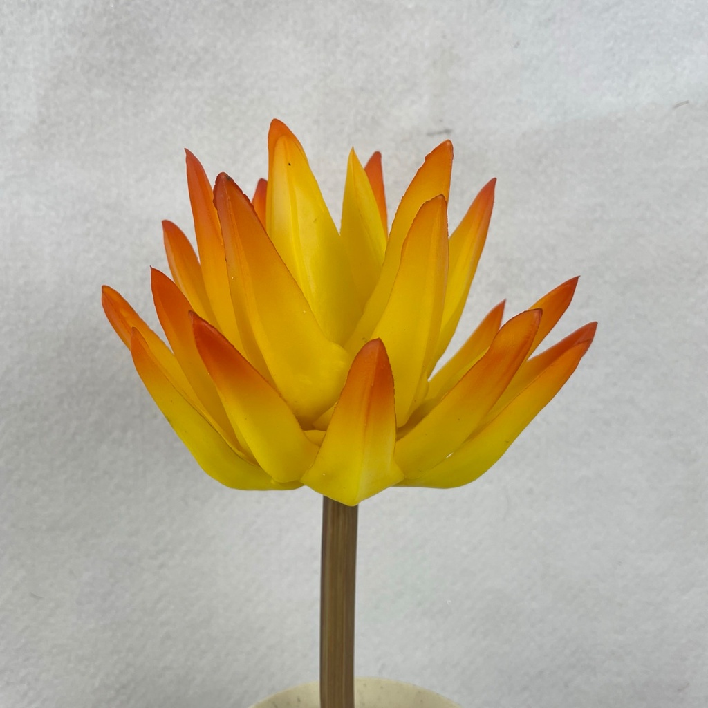 [SEF2515-YEL] 8.5" AGAVE PICK YELLOW