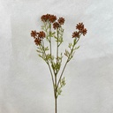 33" DRIED ALLIUM SPRAY X3 BROWN