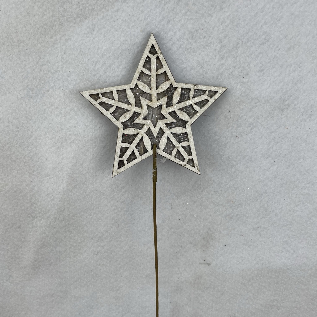 [XA2099] 17" BIRCH LOOK STAR PICK 5" DIA