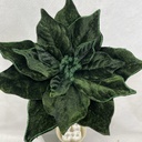 20" VELVET POINSETTIA PICK 10" dia DARK GREEN