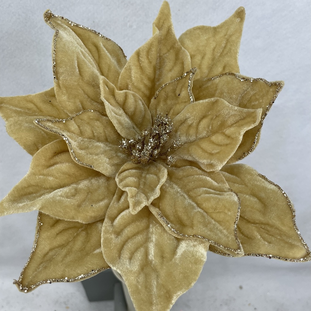 [XA2143-GLD] 20" VELVET POINSETTIA PICK 10" dia GOLD