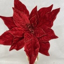 20" VELVET POINSETTIA PICK 10" dia W/GLITTER RED