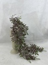 30" DUSTY OSMUNDA FERN SPRAY PURPLE/GREEN