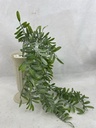30" DUSTY GREEN OSMUNDA FERN SPRAY 