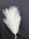 28" FEATHER GRASS BUNDLE X3 WHITE