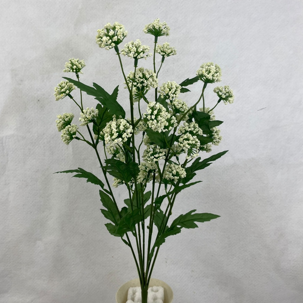 22" MINI QUEEN ANNES LACE BUSH X8 CREAM/WHITE