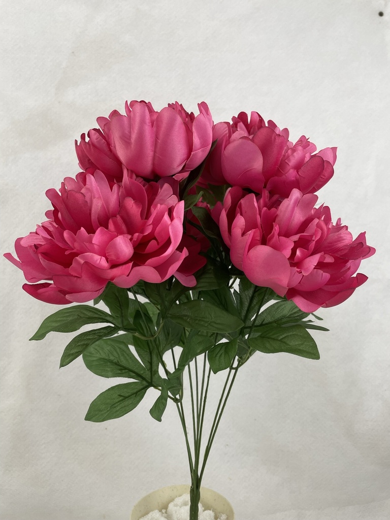 19" PEONY BUSH X8 BEAUTY
