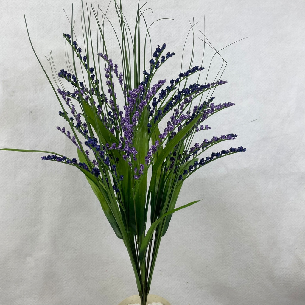 24" FILLER GRASS BUSH X12 PURPLE