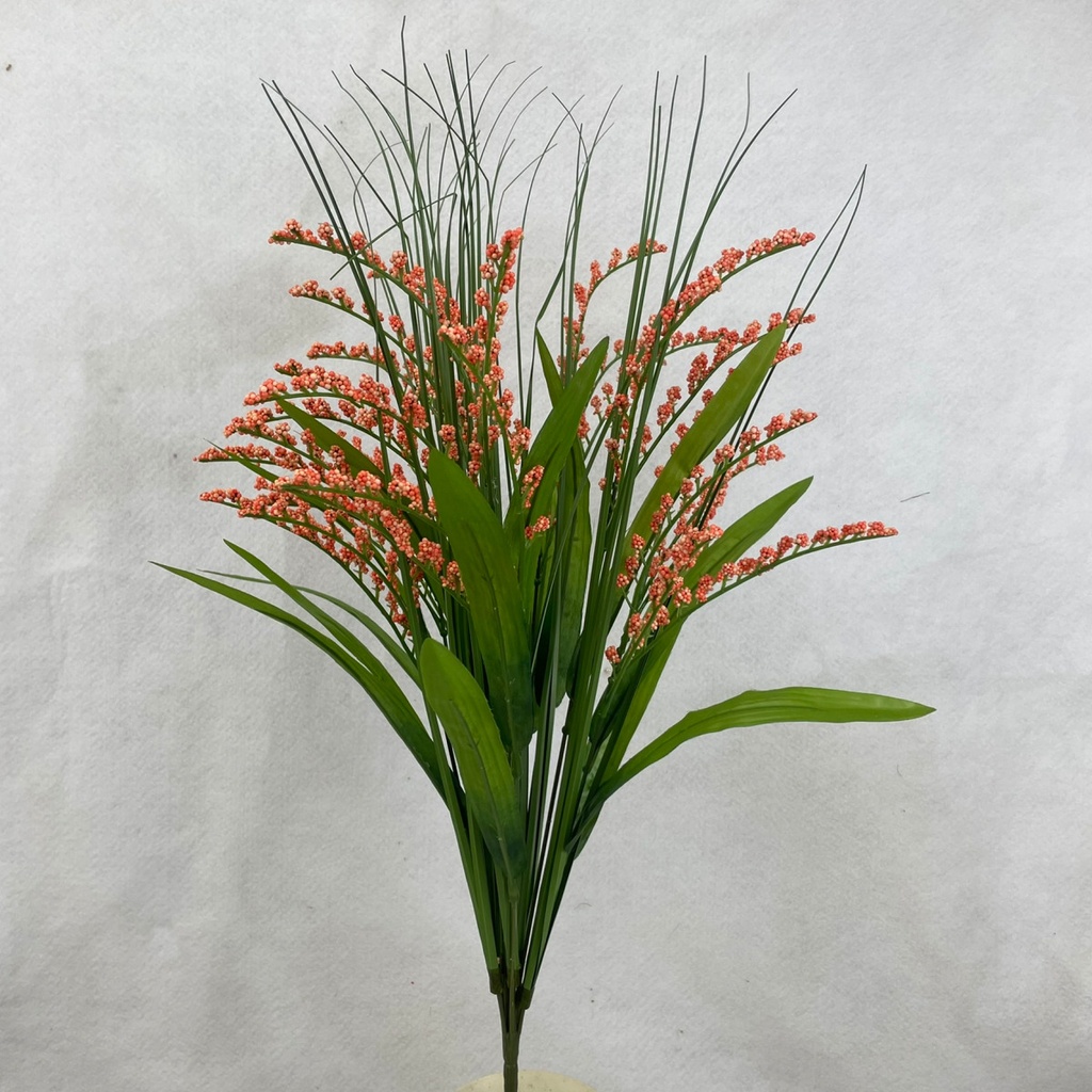24" FILLER GRASS BUSH X12 PEACH