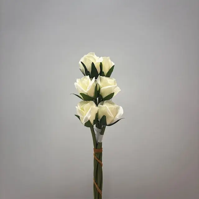 [SE1096-CRM] ROSE BUD BUNDLE X6 CREAM