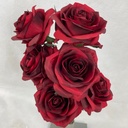 ROSE BUD BUNDLE X6 RED