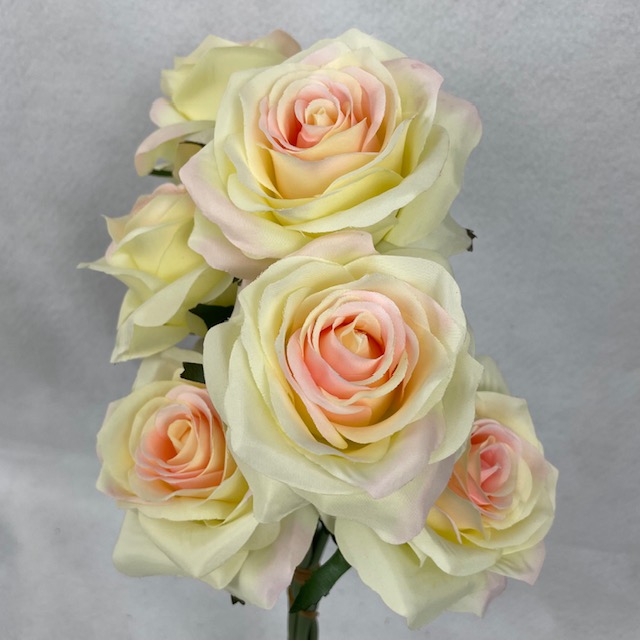 [SE1096-CHA] ROSE BUD BUNDLE X6 CHAMPAGNE