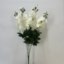 24" DELPHINIUM BUSH X6 CREAM/WHITE
