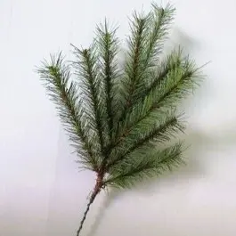 [XB6305] 12" LARCH PINE SPRAY X9