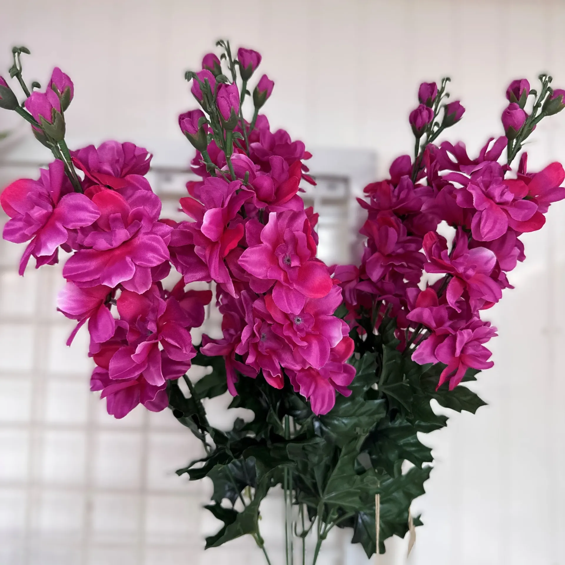 [ST5916-HPK] 24" DELPHINIUM BUSH X6 HOT PINK