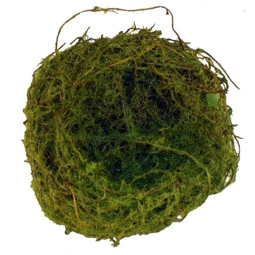 [B0833-M] 3" MOSS NEST  (12 PER BAG)