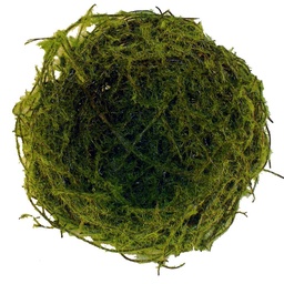 [B0834-M] 4" MOSS NEST (12 PER BAG)