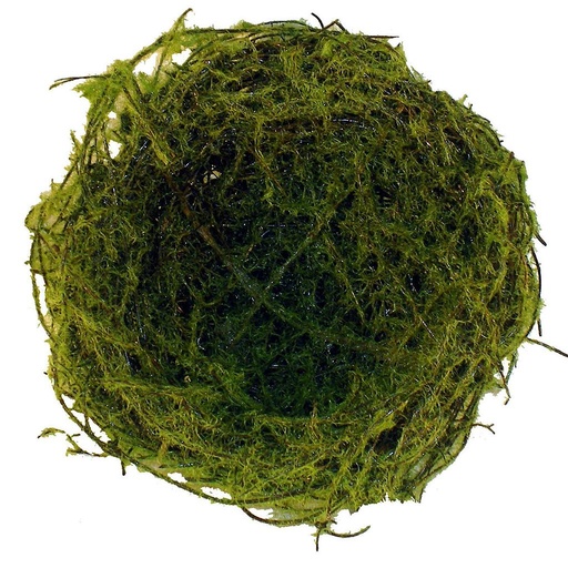[B0834-M] 4" MOSS NEST (12 PER BAG)