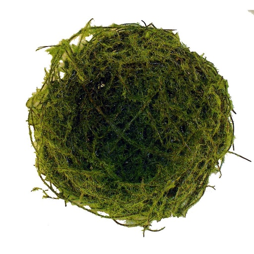 [B0835-M] 5" MOSS NEST (6 PER BAG)
