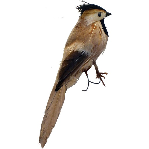 [B321136] 6" CHICKADEE BLACK & GRAY FEATHERED