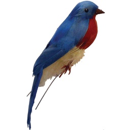 [B321164] 5&quot; FEATHERED EASTERN BLUE BIRD 