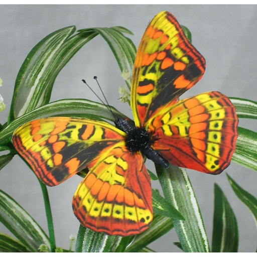 [B1163-YGO] 3.25" PRINTED BUTTERFLY (8 PER BOX)