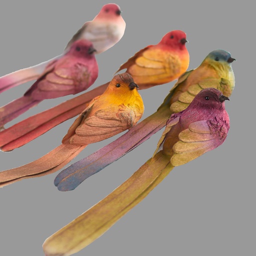 [B503002] 12"LONG TAIL BIRD W/GOLD BRUSH 6 ASST