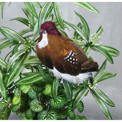 [B66012-CLP] 6" NATURAL PARTRIDGE WITH CLIP