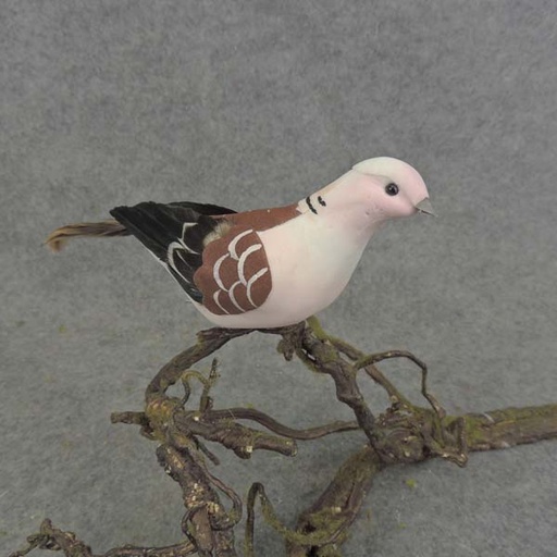 [B66122] 7" MUSHROOM/FEA PIGEON (3 STYLES)