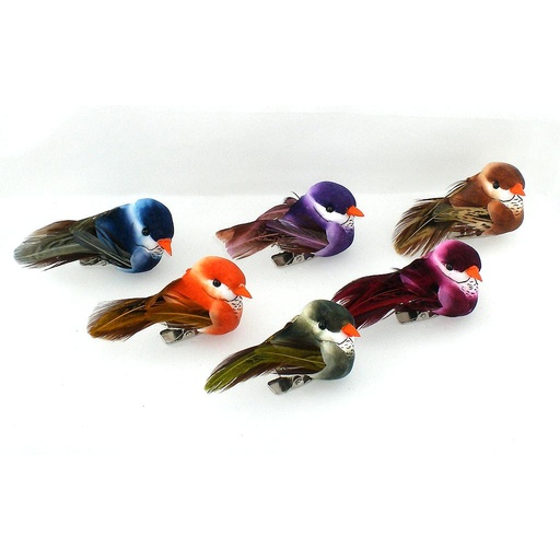 [B6627] BIRD 2.25" MUSHROOM/FEATHER 6-AST W/CLIP