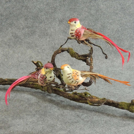 [B6638] BIRD 6.25" MUSHROOM/FEATHER 3-ASST W/CLIP