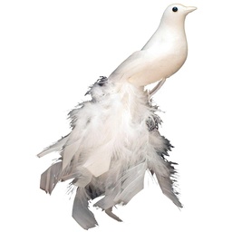 [B66419] 11"FEA/FLOCKED LONG TAIL BIRD CTN  WHITE
