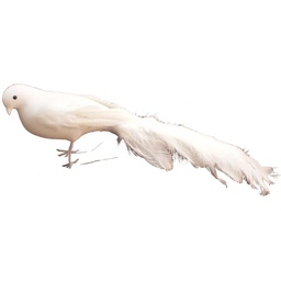 [B66558-WHT] 14" FEA/FLOCKED LONG TAIL BIRD  WHITE