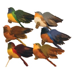 [B66728] 4&quot; FEA. FLYING ROBIN ON PICK 6-ASST
