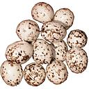 [B560-N] 1" SPECKLED EGGS 1 DOZEN PER BAG