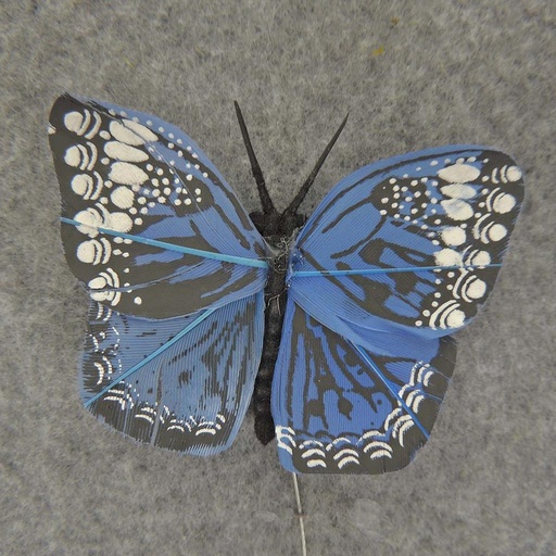 [B66015-BLU] 2.5" FEATHER BUTTERFLY  BLUE