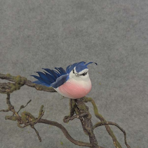 [B6761] BLUE JAY 3.5" W/CLIP MUSH/FEA
