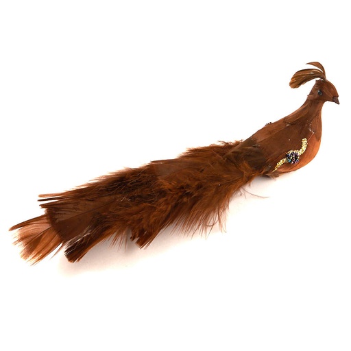 [B970338D] 8" CHOCOLATE LONG TAIL BIRD